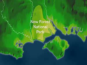 Map of New Forest