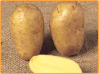 آلو: عالمگیریت کی علامت؟