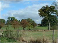 View across field