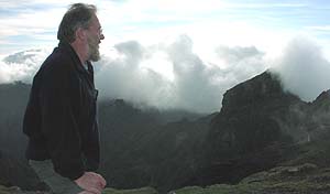 The Madeira petrel breeds in Madeira's highest mountains
