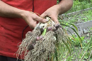 Warren runs the Moulsecoomb Forest Garden and Wildlife Project, near Brighton