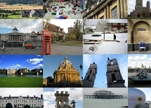 What's in this gallery