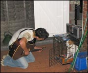 Gary sings to the dog.