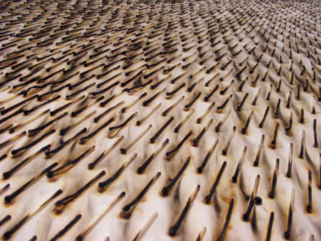 Image taken from Tim Davies' exhibition, 50th Year to Heaven.