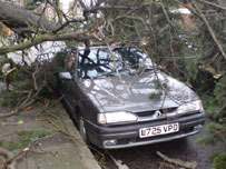 Tree damages car in high winds