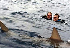 Open Water