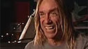 Iggy Pop