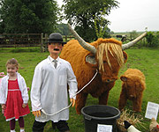 Highland cow and calf with scarecrow and visitor