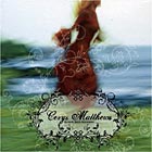 Never Said Goodbye cover