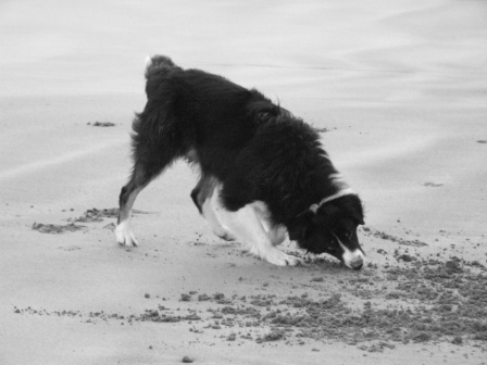 I know its in here somewhere, says moto