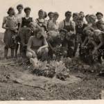 Pat is on the back row on the far left Shifnal Harvest Camp