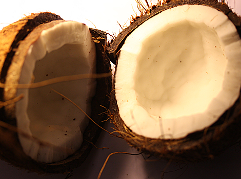 A coconut
