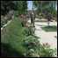 ساحات تجارتی