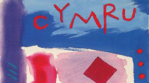 Rhan o un o faneri Mary Lloyd Jones