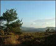 The view from the common towards Sidmouth Gap