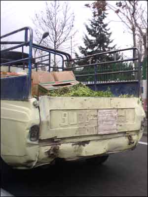 عکس از عباس موسويان