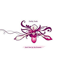 Review of Hard Time For The Dreamer