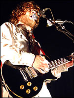 Whiskycats (c) Karen McBride