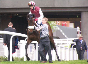 Before the first race