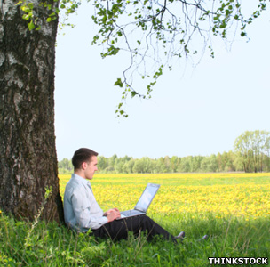 man sitting under a tree with a laptop