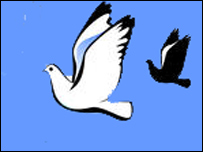 دکوترې بچی