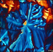 نيکوتيناميد