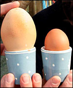 The colossal 200g egg