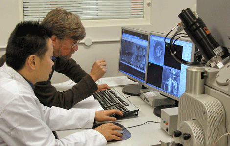 Scientists at NanoVision centre