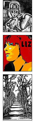 montage of Liz's work