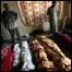 مقتولان حادثه حديثه