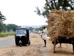 Rickshaw passing trailer of hay