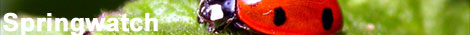Springwatch