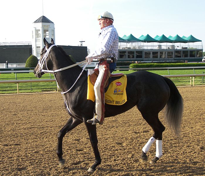 The racehorse Eight Belles