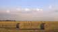 4 In A Field