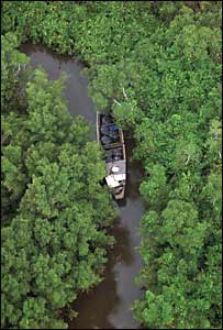 The Niger delta
