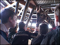 On location at Marwell