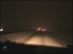 پويا باغبانيان