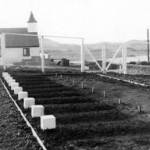 The graves of the German airmen at Brautarholt, Iceland