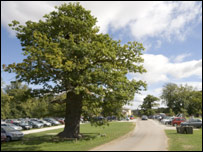 Centuries of stewardship