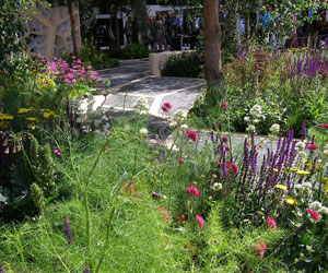 Marcus Barnett's Times Eureka Garden