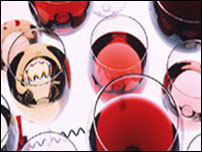 Vinho