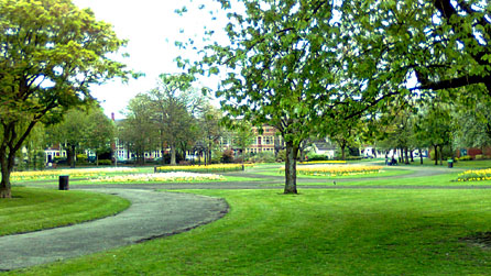 Victoria Park in Canton, Cardiff. Photo: Phil England
