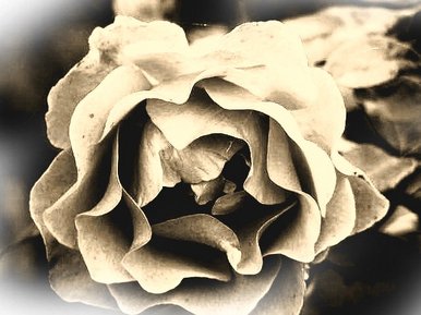 Love gives, and Love takes away