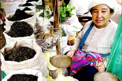 A Shan woman sells various kinds of tea at a morning market in Myanmars northeastern Kyaing Tong town