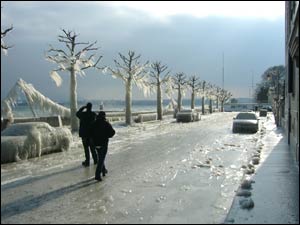 عکس از عليرضا گودرزى