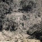 Outside the camp at Assam