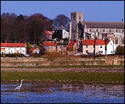 Heron at Cley in Norfolk
