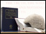 Legal books and judge's wig