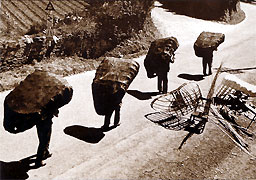 Coracles all in a row