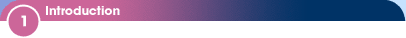1 - Introduction